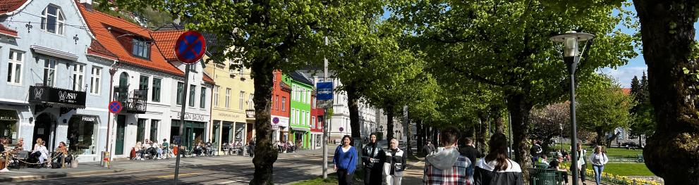 Walking in Bergen