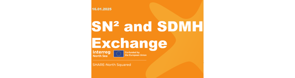 SN2 and SDMH Exchange